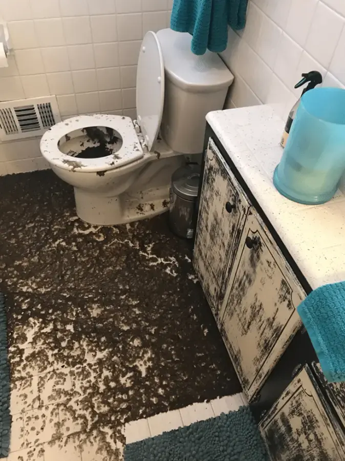 Sewage overflow from a toilet spread across a bathroom floor